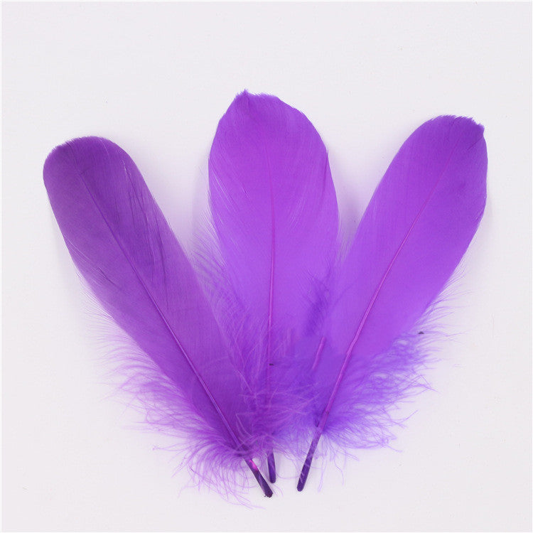 DIY Big Fluffy Colorful Feathers