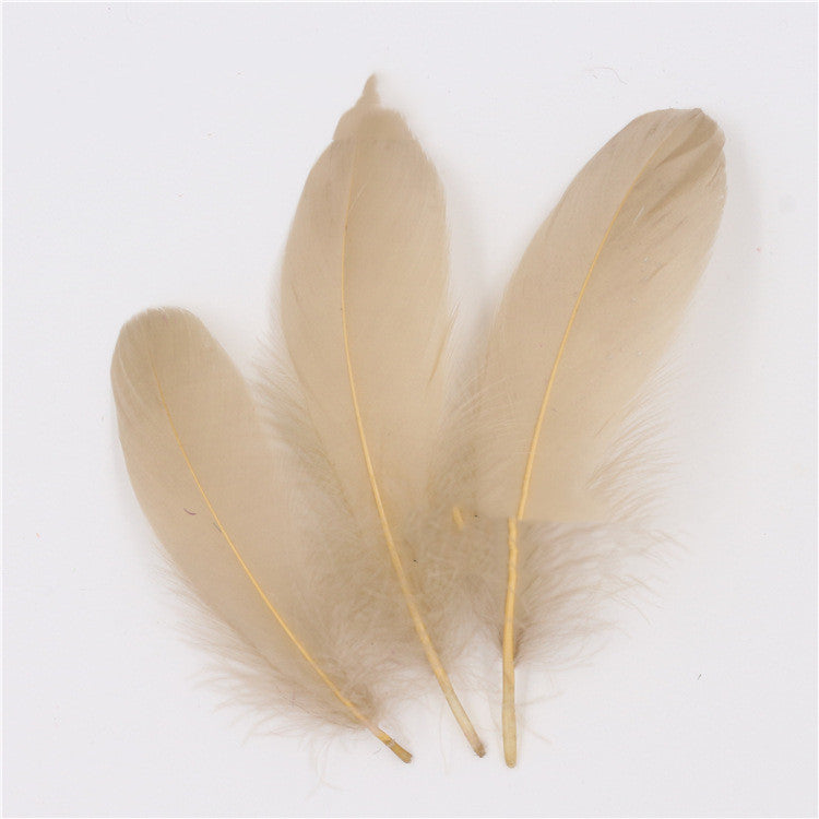 DIY Big Fluffy Colorful Feathers