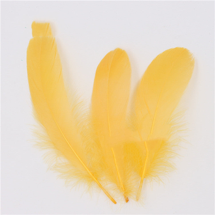 DIY Big Fluffy Colorful Feathers