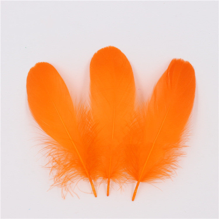 DIY Big Fluffy Colorful Feathers