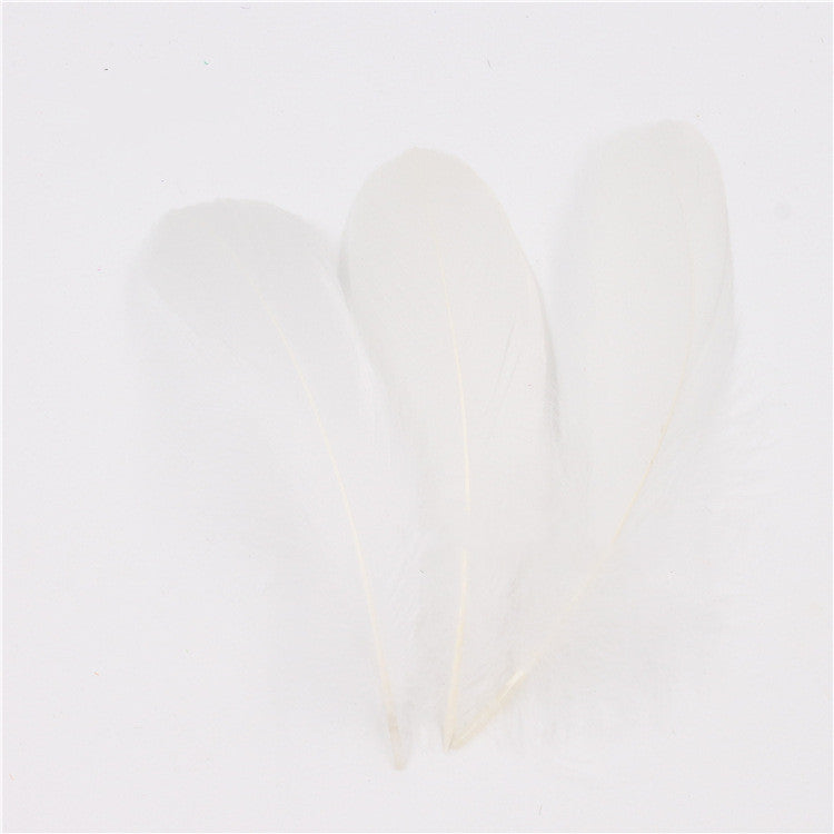 DIY Big Fluffy Colorful Feathers