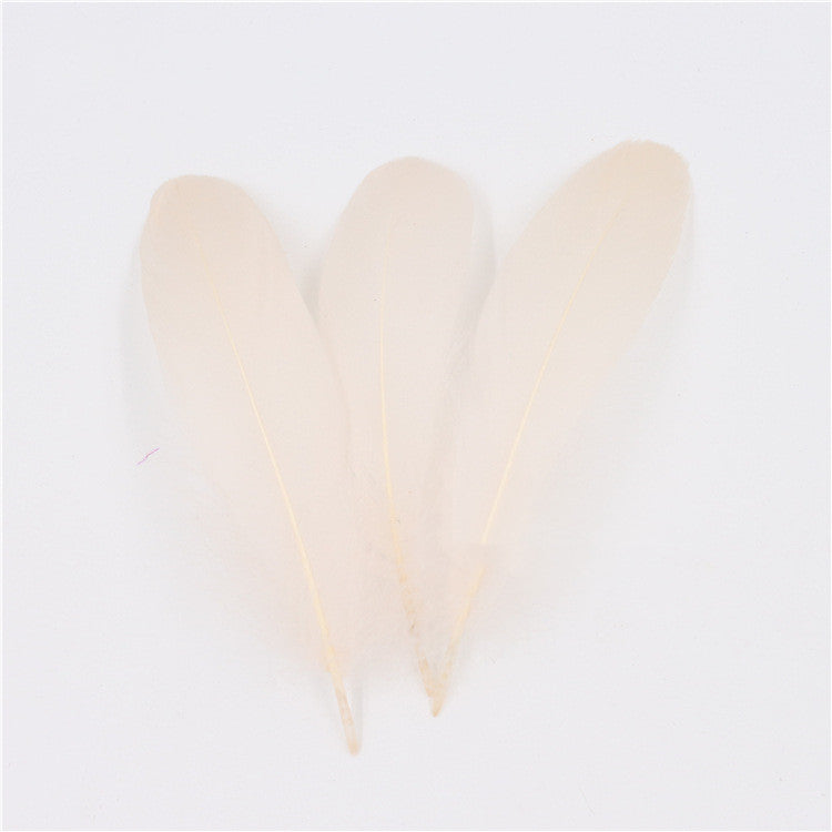 DIY Big Fluffy Colorful Feathers