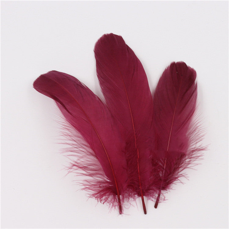 DIY Big Fluffy Colorful Feathers