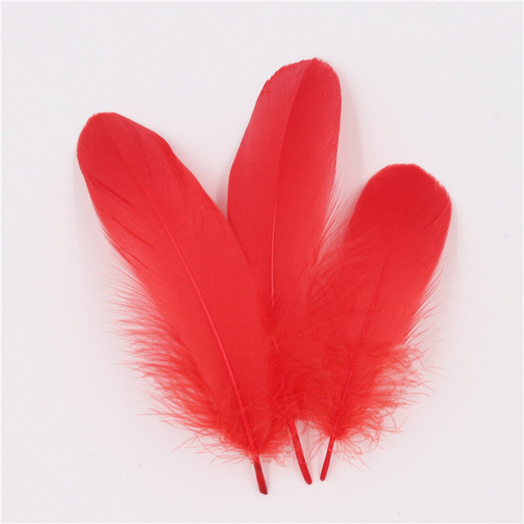 DIY Big Fluffy Colorful Feathers