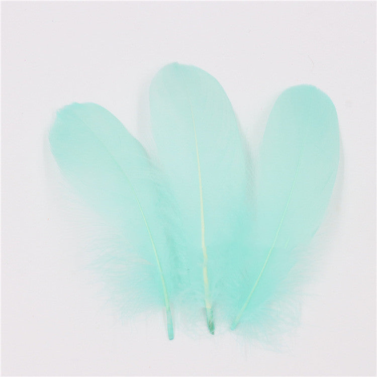 DIY Big Fluffy Colorful Feathers