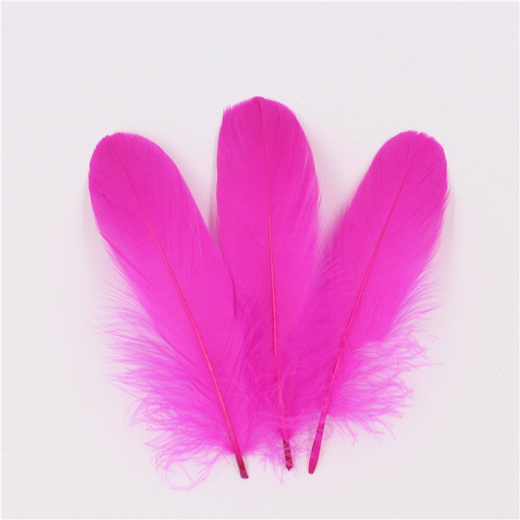 DIY Big Fluffy Colorful Feathers